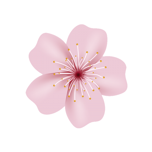 dermasilk image